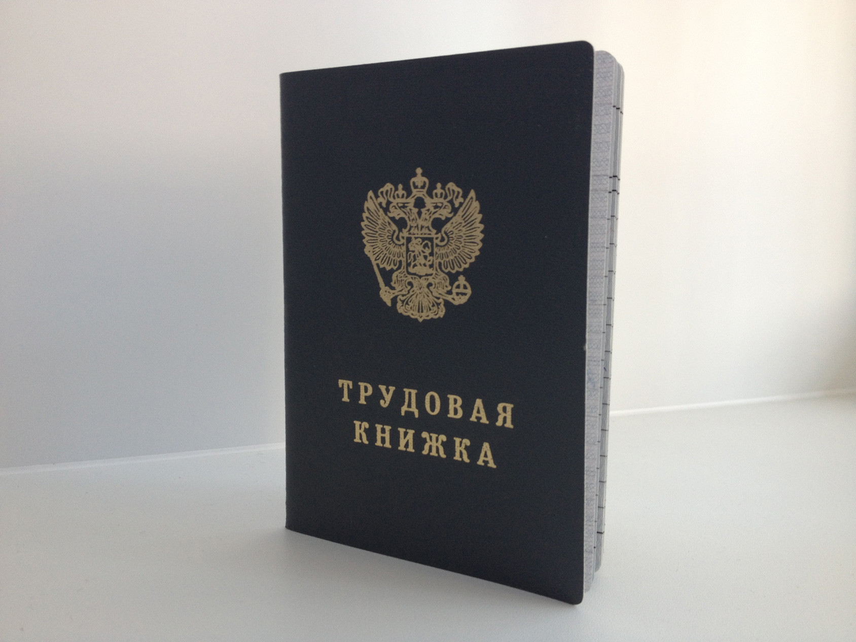 Государственная инспекция труда в городе Санкт-Петербурге напоминает: Бумажная трудовая книжка